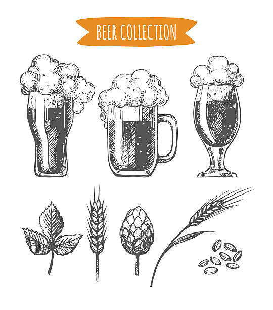 ilustraciones, imágenes clip art, dibujos animados e iconos de stock de colección de cerveza - malt white background alcohol drink