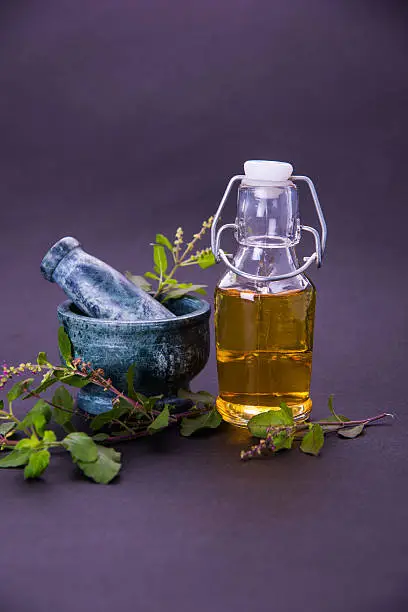 Tulsi oil or holy basil oil with Mortar and Pestle, tulsi or holy basil is a qeen of herb since ancient times in India in Ayurveda
