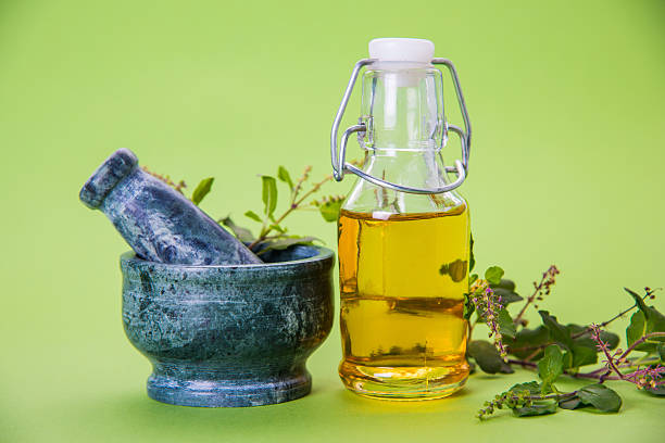 huile de tulsi ayurvédique ou huile de basilic sacré - ayurveda herb alternative medicine herbal medicine photos et images de collection