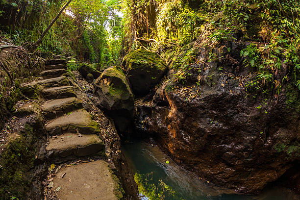 istock Ubud Monkey Forest in Bali, Indonesia 608602416