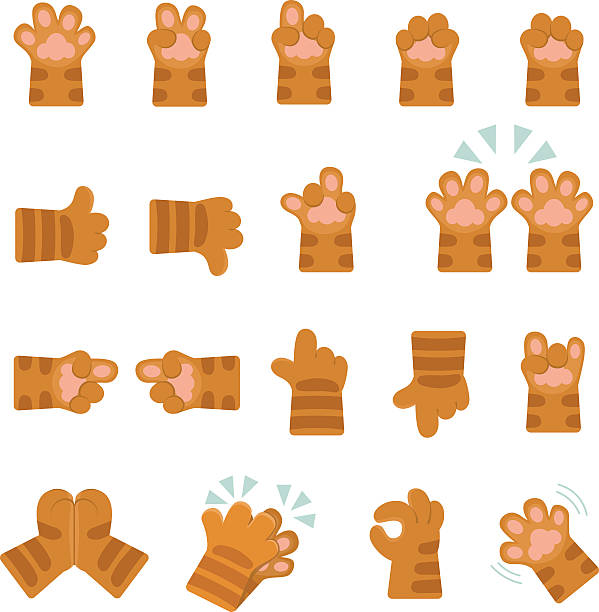 Emoji collection Set of hands icons, emoji isolated on transparent background. Cartoon cat paws stickers with different hand gestures. undomesticated cat stock illustrations