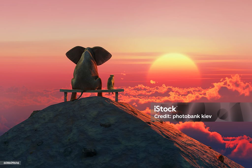 Elefant und Hund sitzen auf einem Berggipfel - Lizenzfrei Groß Stock-Foto