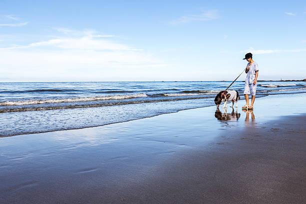 istock young girl walk with siberian at the beach 608625290