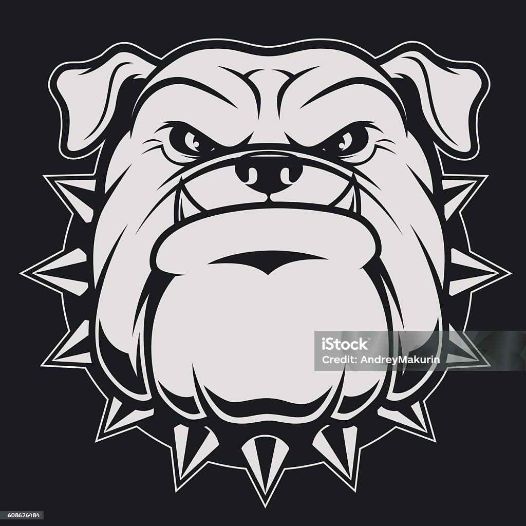 Head ferocious bulldog Vector illustration head ferocious bulldog mascot, on a black background Bulldog stock vector