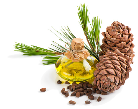 Cedar oil, cones and pine nuts.