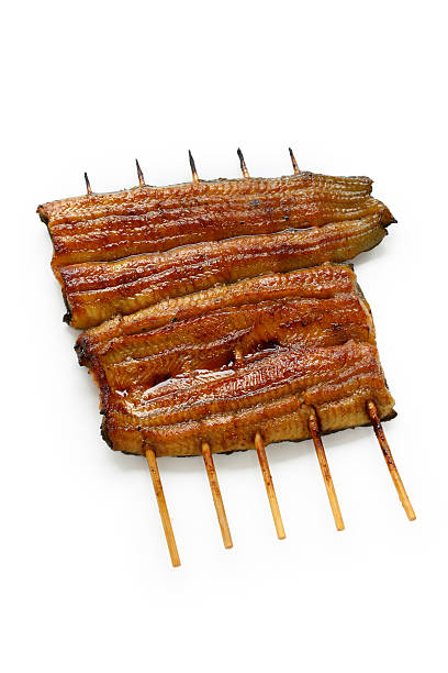 broiled eel, kabayaki, japanese unagi cuisine