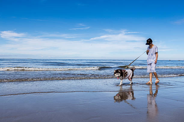 istock young girl walk with siberian at the beach 608634346