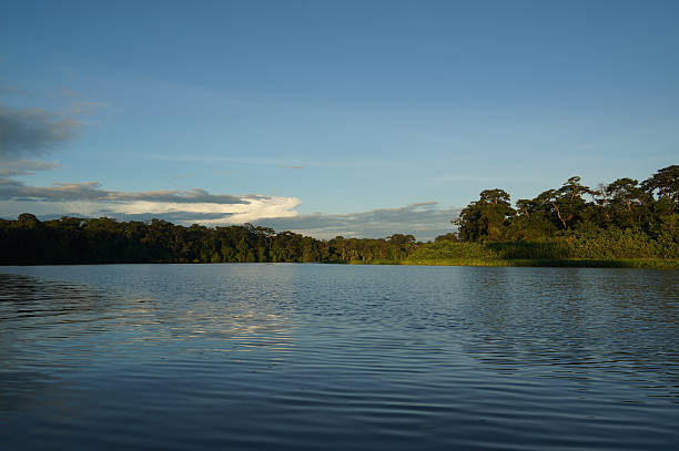 istock Early morning Tortuguero channel 608637200