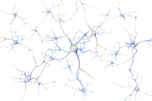 Neurons in the brain on white background with focus effect. 3d rendering.