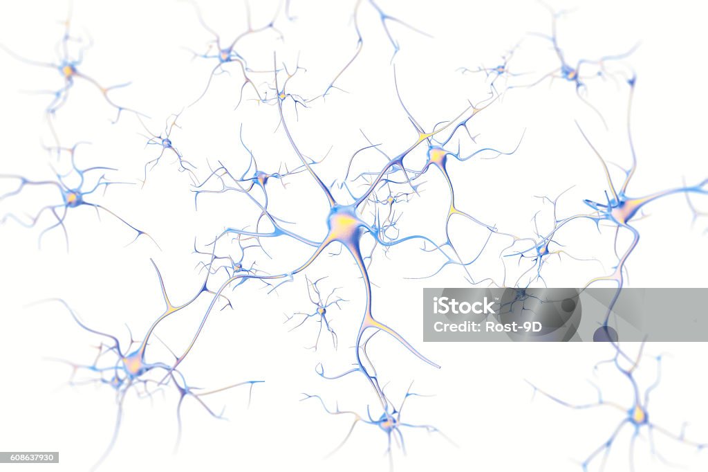 Neurons in the brain on white background with focus effect Neurons in the brain on white background with focus effect. 3d rendering. Nerve Cell Stock Photo