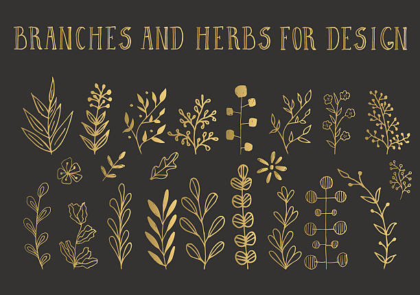 ilustraciones, imágenes clip art, dibujos animados e iconos de stock de hierbas y ramas de oro - flower flourishes paint backgrounds