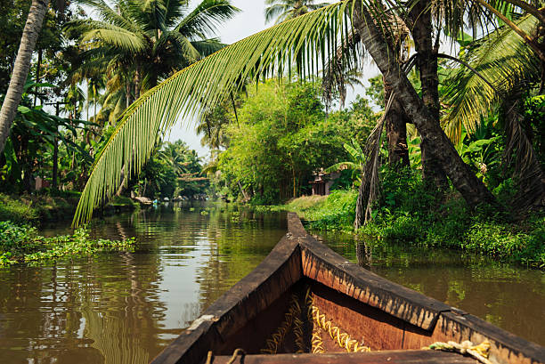 istock Tourist boat on Alleppey backwaters 608639590