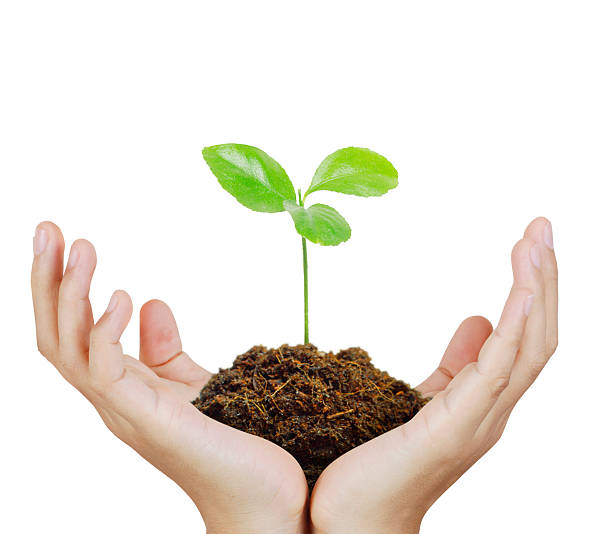 istock Man holding plant in  hand 608640522