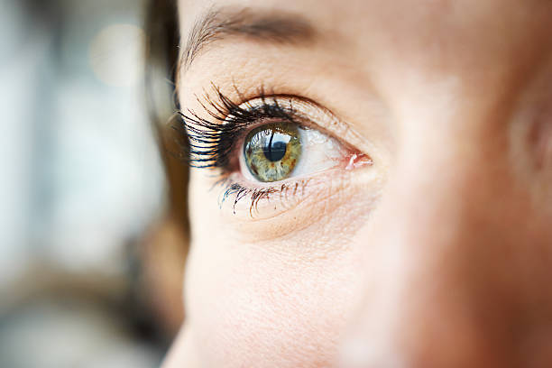 cropped image of woman eye - sensory perception eyeball human eye eyesight imagens e fotografias de stock