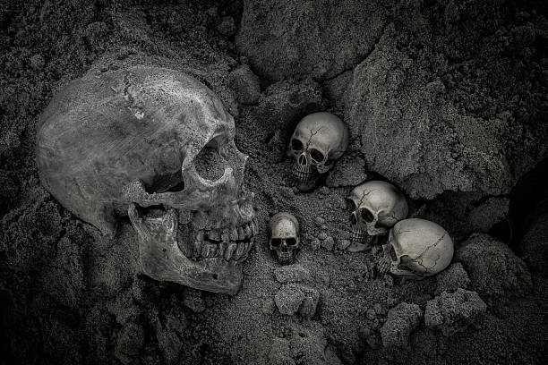 istock Still life of skull 609034786