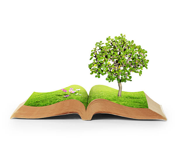 istock book of fantasy stories 609035134