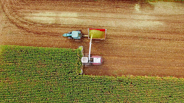 istock Farm machines harvesting corn in September, aerial view. 609035506