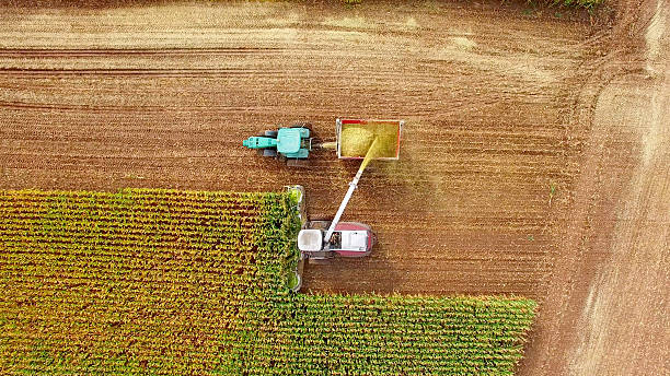 istock Farm machines harvesting corn in September, aerial view 609035576