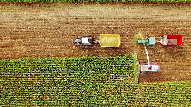 máquinas agrícolas cosechando maíz en septiembre, visto desde arriba - tractor green farm corn fotografías e imágenes de stock