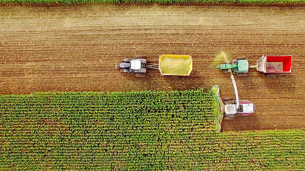 фермерские машины сбора кукурузы в сентябре, вид сверху - tractor agriculture field harvesting стоковые фото и изображения