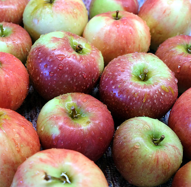 istock Clean red and green ripe apples with water drops 609035676