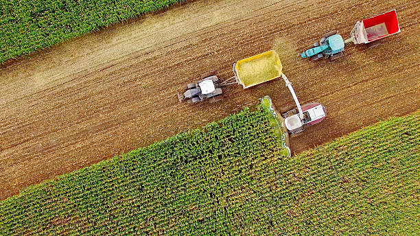 istock Farm machines harvesting corn in September, aerial view 609035926