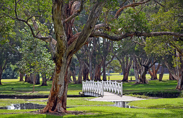 Arched white bridge over lake in parkland