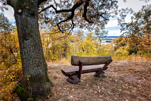 Wooden bench in the park in autumn, Zatonie Dolne, Poland