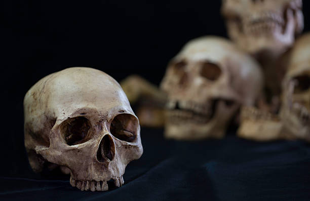 istock Awesome pile of skull on black cloth 609047552