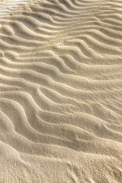 istock Sand ripples in a tropical beach 609047966