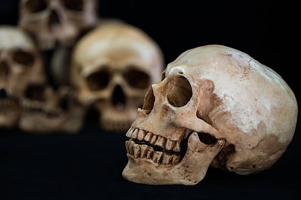 istock Awesome pile of skull on black background 609048118