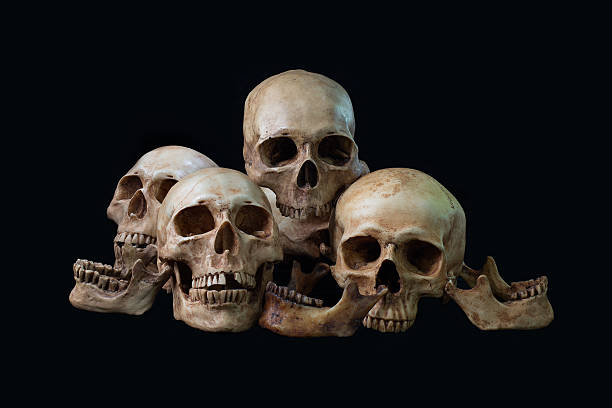 istock Awesome, pile of skull, on black background, Still Life style 609048286