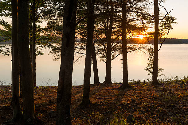 istock Scenic Catskill Mountains Sunset Over Lake Through Trees Nature Scenic 609052120
