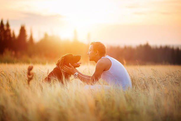 istock Owner and dog Labrador in field 609058870