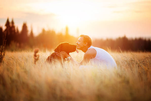 istock Owner and dog Labrador in field 609059428