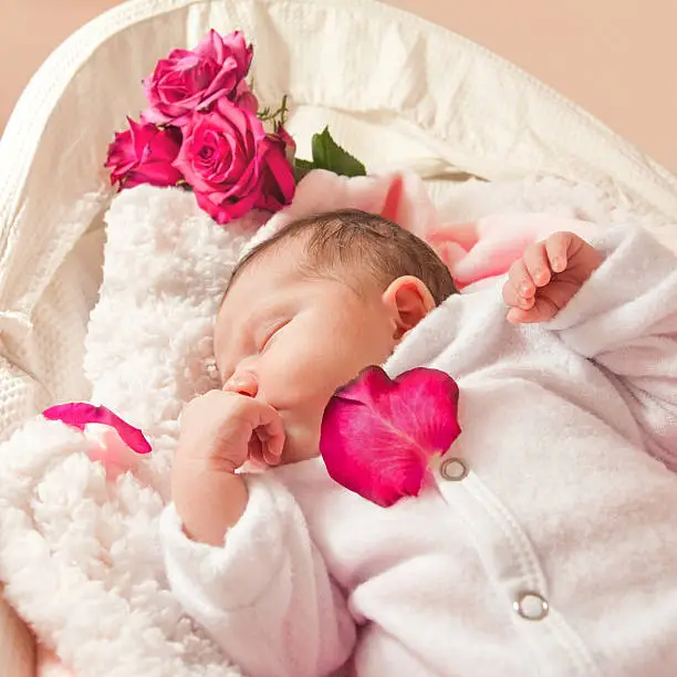 Photo of Newborn baby girl amongst pink roses