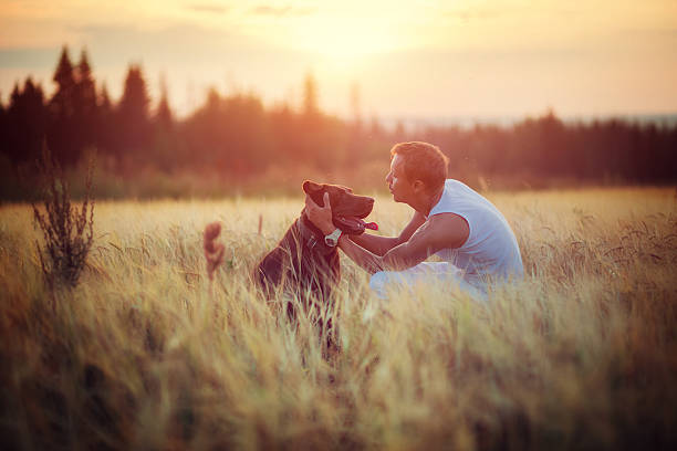 istock Owner and dog Labrador in field 609061462