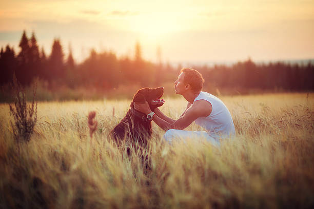 istock Owner and dog Labrador in field 609061564