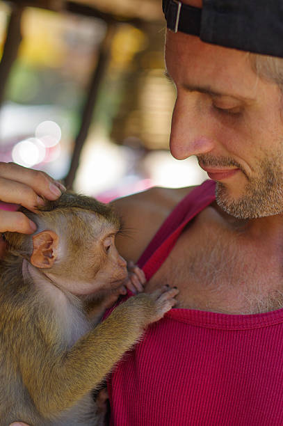 istock man holds a young Rhesus Macaque Macaca mulatta on the 609072742