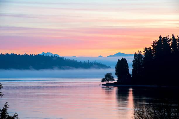 Cotton Candy Sunrise Pastel sunrise with fog.  puget sound photos stock pictures, royalty-free photos & images