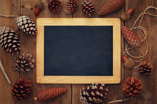 istock Top view of pine cones and blank blackboard 609074348
