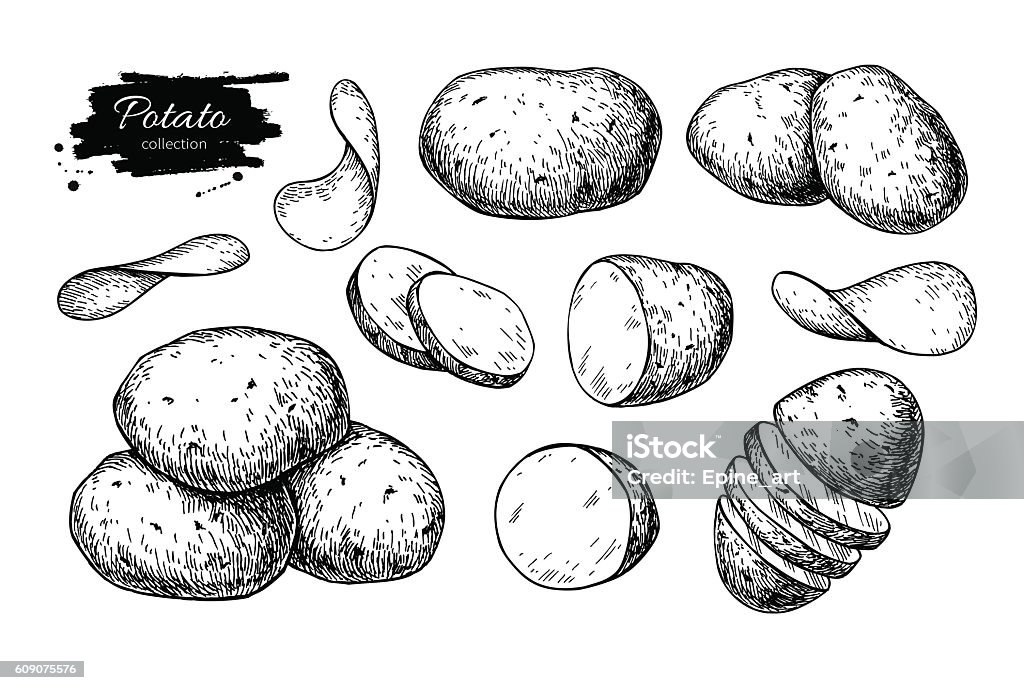 Potato drawing set. Vector Isolated potatoes heap, sliced pieces Potato drawing set. Vector Isolated potatoes heap, sliced pieces and chips. Vegetable engraved style illustration. Detailed vegetarian food sketch. Farm market product. Great for label, banner, poster Raw Potato stock vector