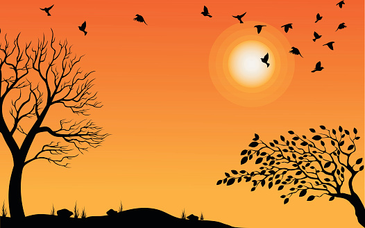 Heaven illustration on theme of Halloween. Bird, tree, moon, and stone silhouette on cemetery in autumn afternoon ambience. Wishes for Happy Halloween. Trick or treat. Vector illustration