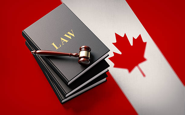 gavel and law books on canadian flag: canadian justice concept - canadian flag flag trial justice foto e immagini stock