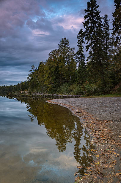 istock Sunrise on the shoreline 609079354
