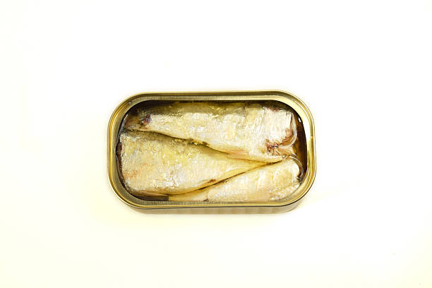 istock conserved sardines in oil on a white background 609080954