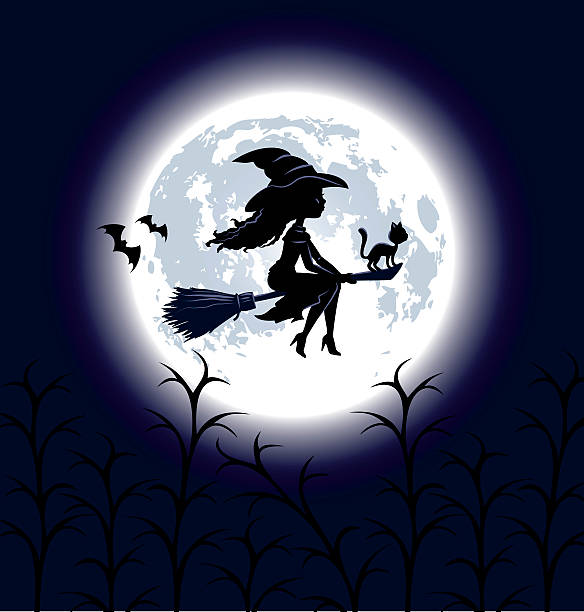 ilustraciones, imágenes clip art, dibujos animados e iconos de stock de halloween bruja silueta - wizard magic broom stick