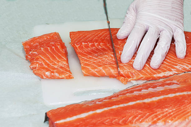 salmon.