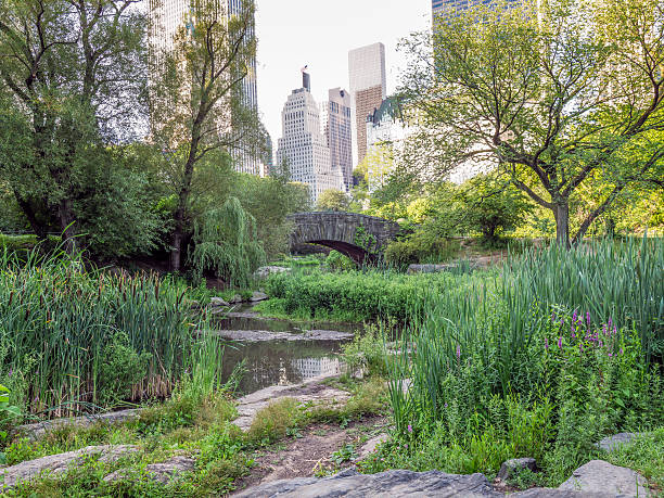 istock Gapstow bridge Central Park, New York City 609085924