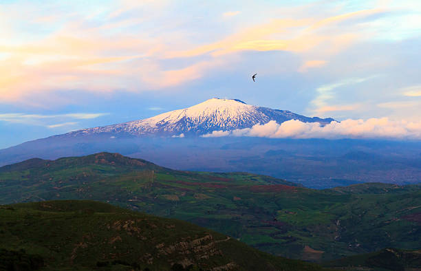 Panorama of Mount Etna in Spring, Sicily A tranquil, bucolic panorama of snowy Mt. Etna in spring, with pretty pastel sky and hilly green countryside in the foreground. A single bird flies in the sky.  mt etna stock pictures, royalty-free photos & images
